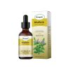 Googeer Mullein Leaf Supplement Drops, Dietary Supplements For Body Healing